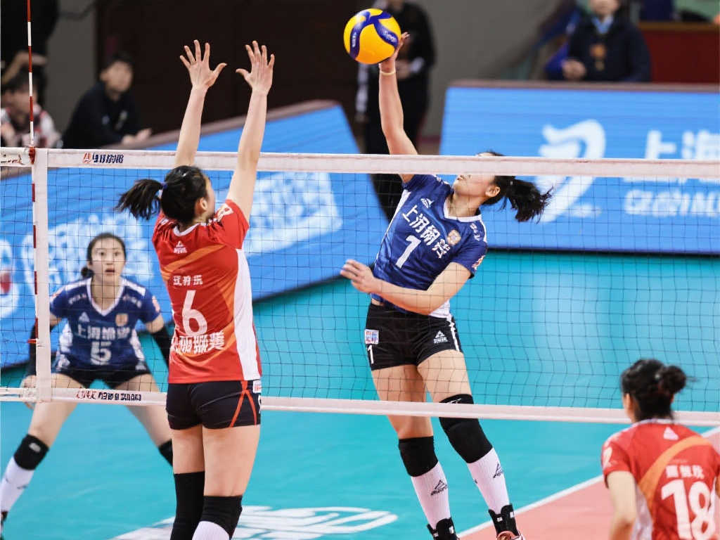 在萨利巴的 在萨利巴的